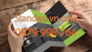 Brochure là gì